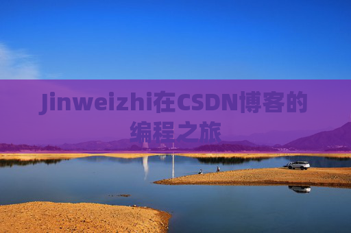 Jinweizhi在CSDN博客的编程之旅